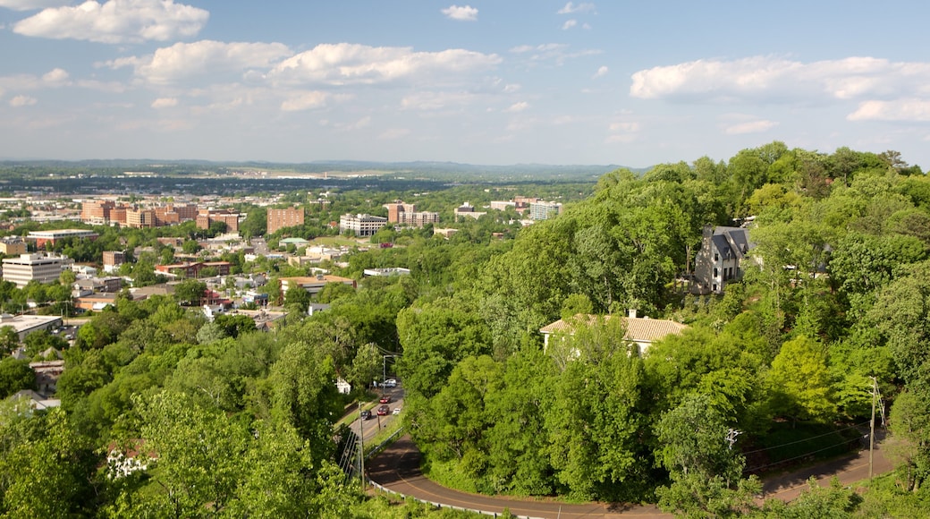 Vulcan Statue featuring a city