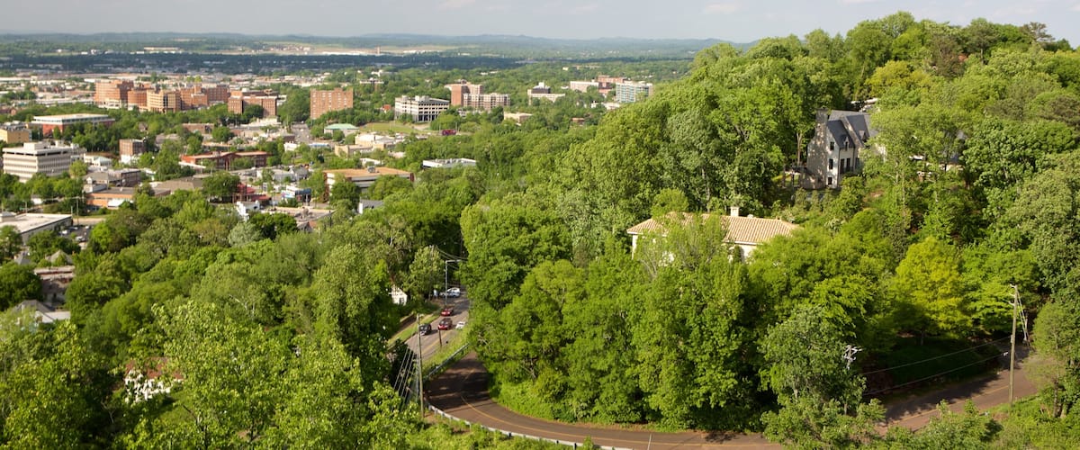 Vulcan Statue showing a city