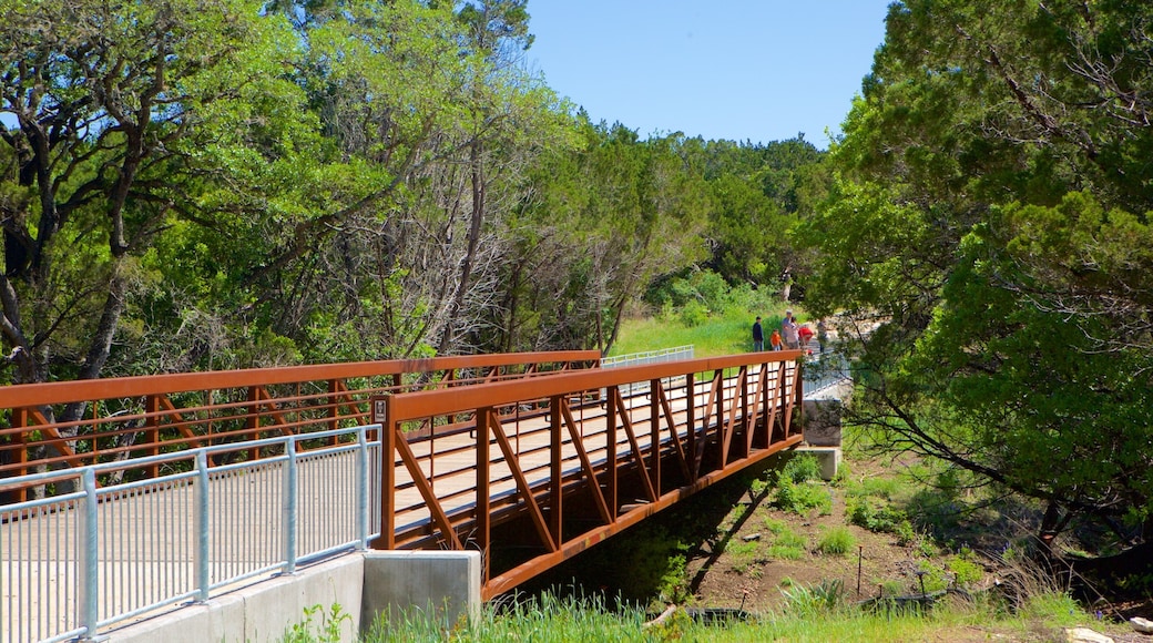 Área norte del centro de Austin ofreciendo escenas forestales y un puente