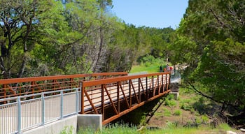 North Central Austin che include paesaggio forestale e ponte