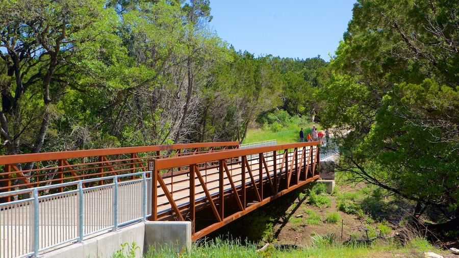 North Central Austin featuring a bridge and forests