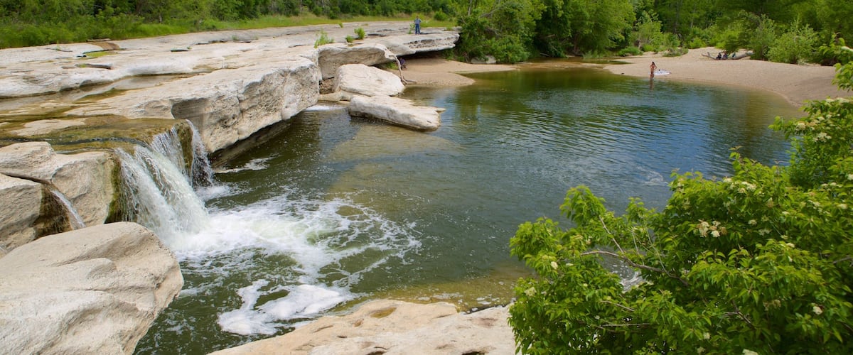 Franklin Park featuring forests and a lake or waterhole