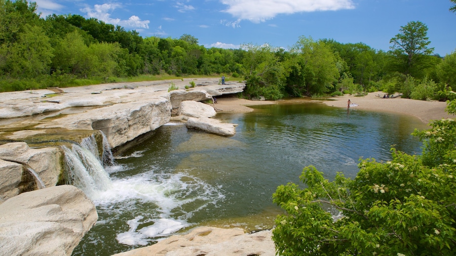 Franklin Park featuring forests and a lake or waterhole