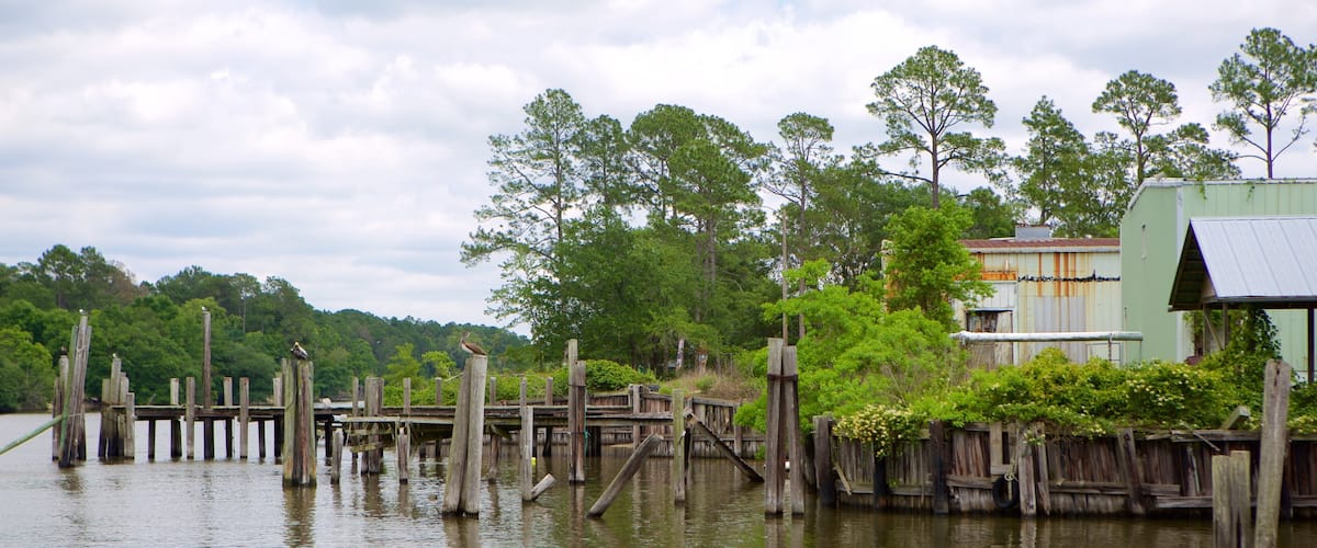 Gulf Shores ofreciendo un río o arroyo, una casa y escenas forestales