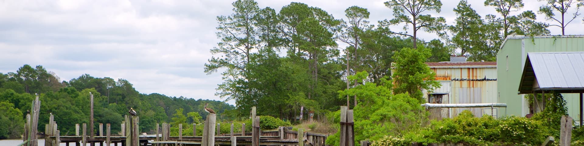 Gulf Shores ofreciendo un río o arroyo, una casa y escenas forestales
