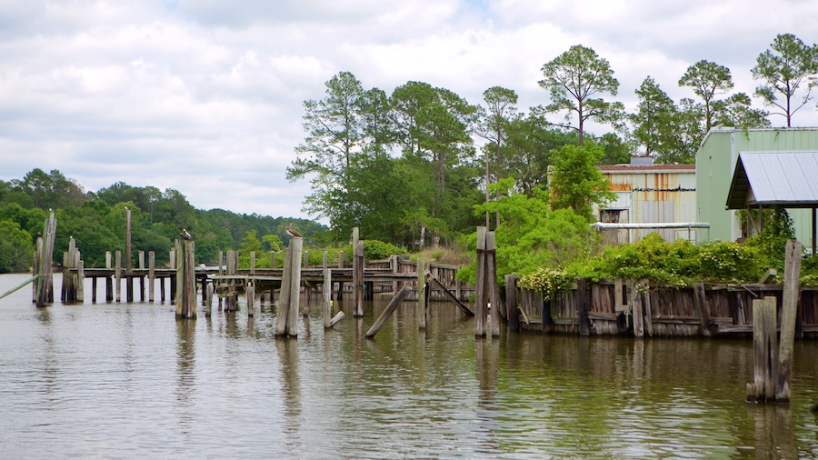 Gulf Shores mit einem Waldmotive, Fluss oder Bach und Haus