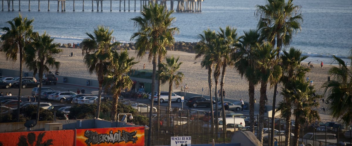 Venice Beach which includes sailing, a sandy beach and a coastal town