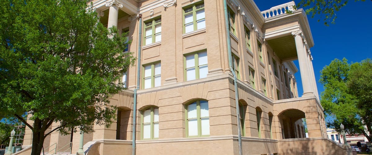 Georgetown showing an administrative buidling and heritage architecture