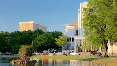 Huntsville showing a pond and a garden