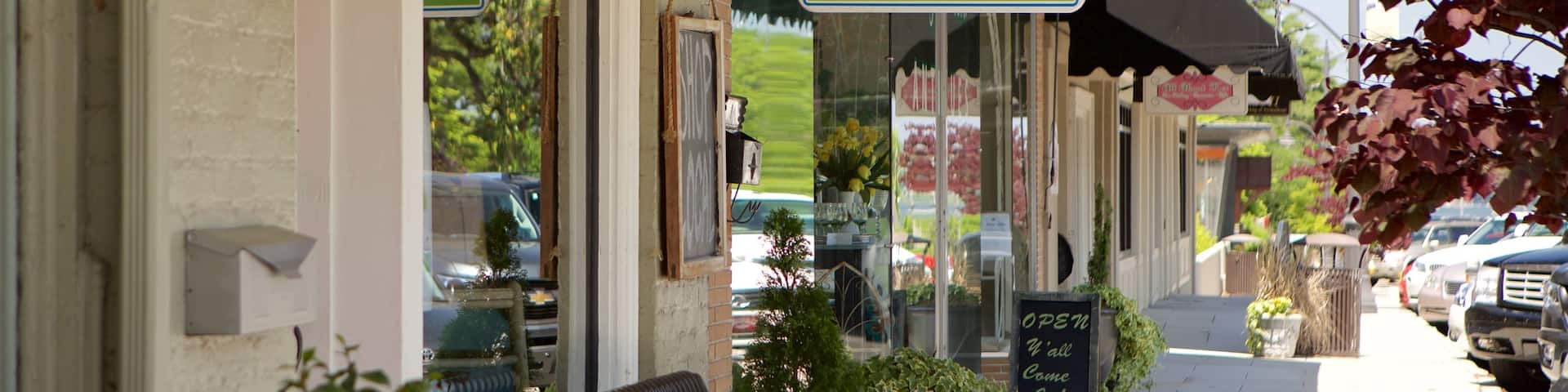 Guntersville featuring signage