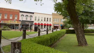 San Marcos showing a garden and heritage architecture