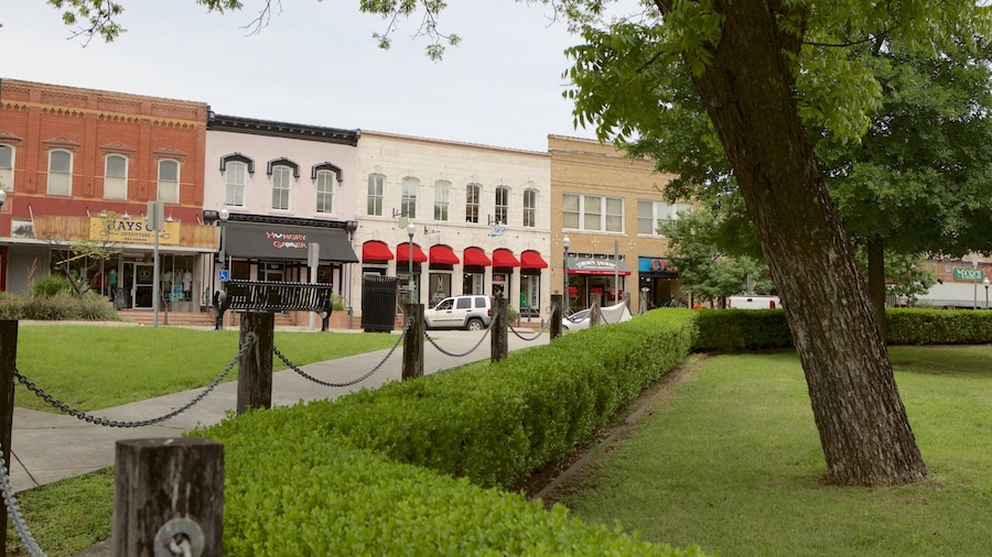 San Marcos showing a garden and heritage architecture