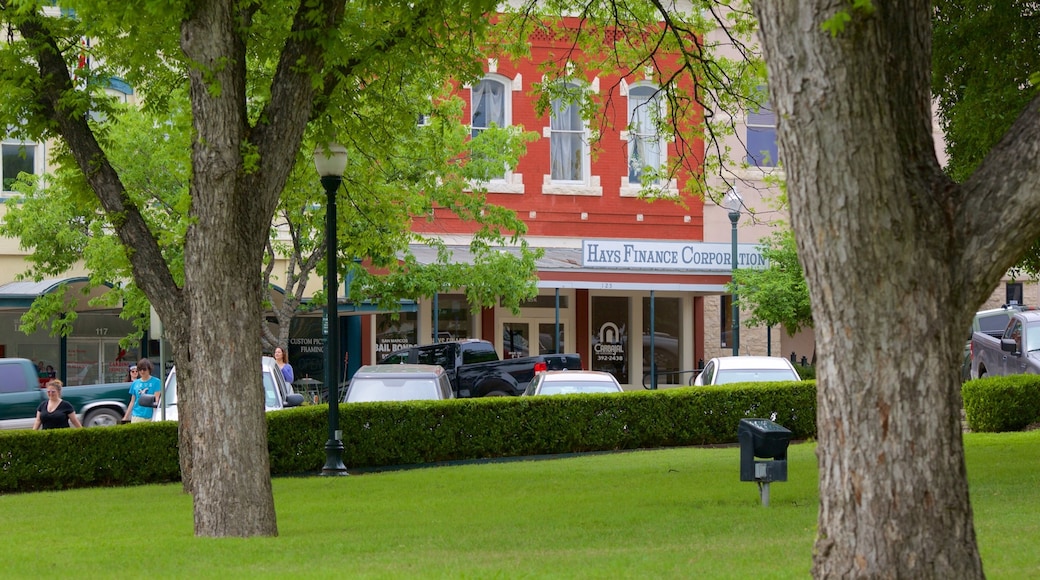 San Marcos showing a garden