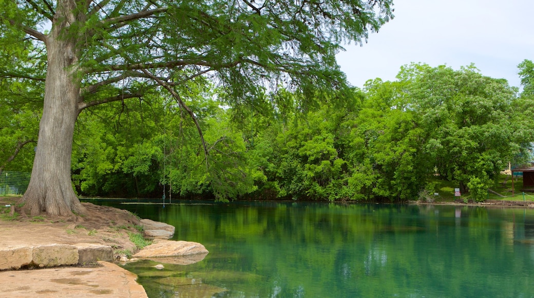 San Marcos welches beinhaltet Fluss oder Bach, Regenwald und Garten