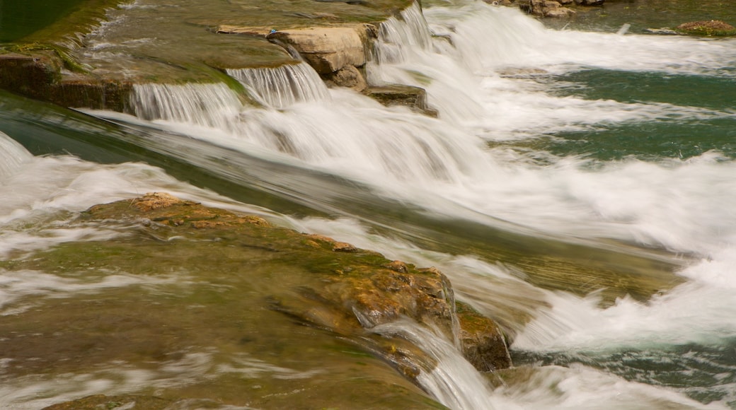 San Marcos showing a river or creek