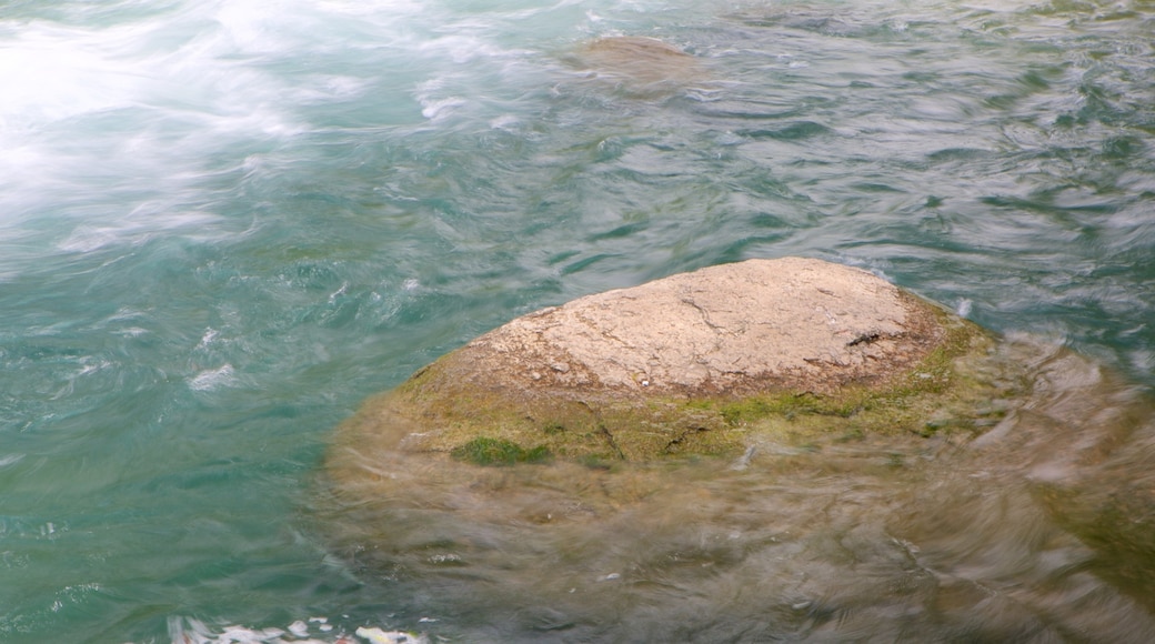 San Marcos showing a river or creek