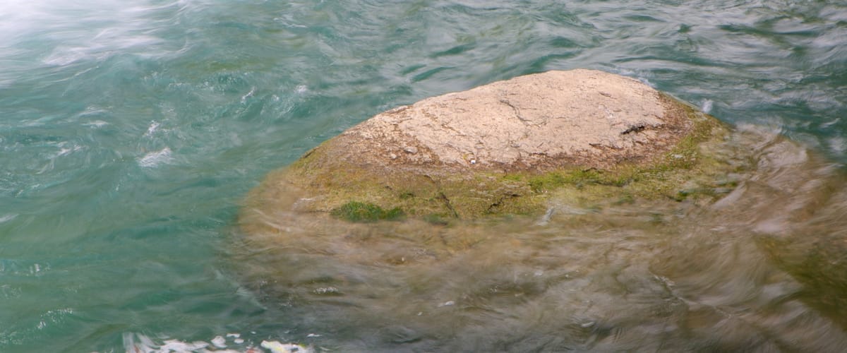 San Marcos que incluye un río o arroyo