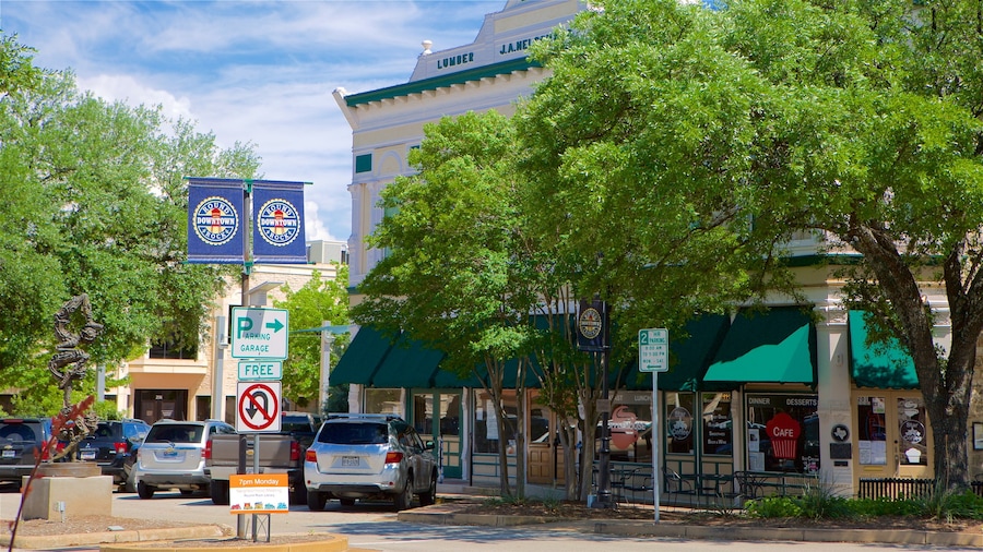 Round Rock mostrando distrito financiero central y un parque o plaza