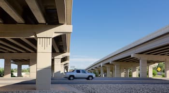 Cedar Park featuring vehicle touring and a bridge