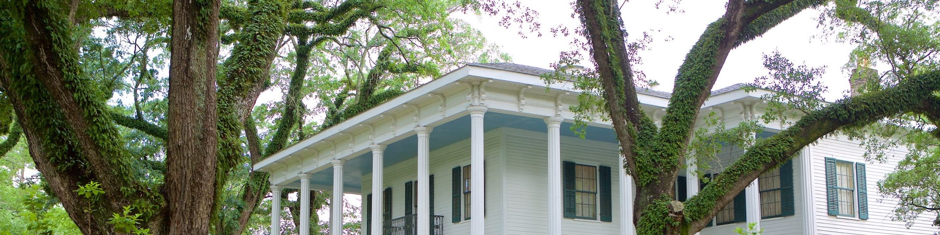 Mobile which includes heritage architecture, a house and a park