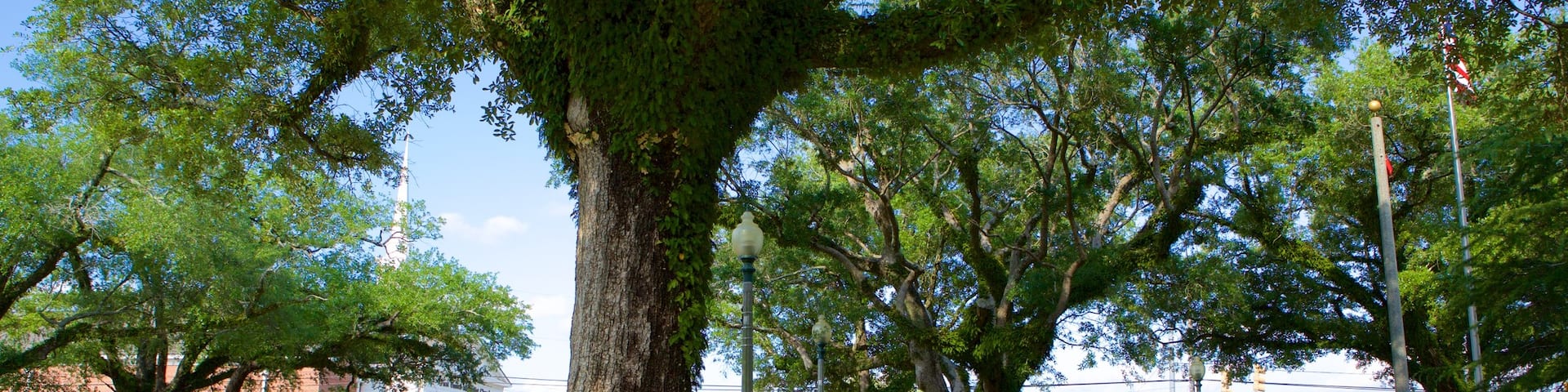Bay Minette which includes a park