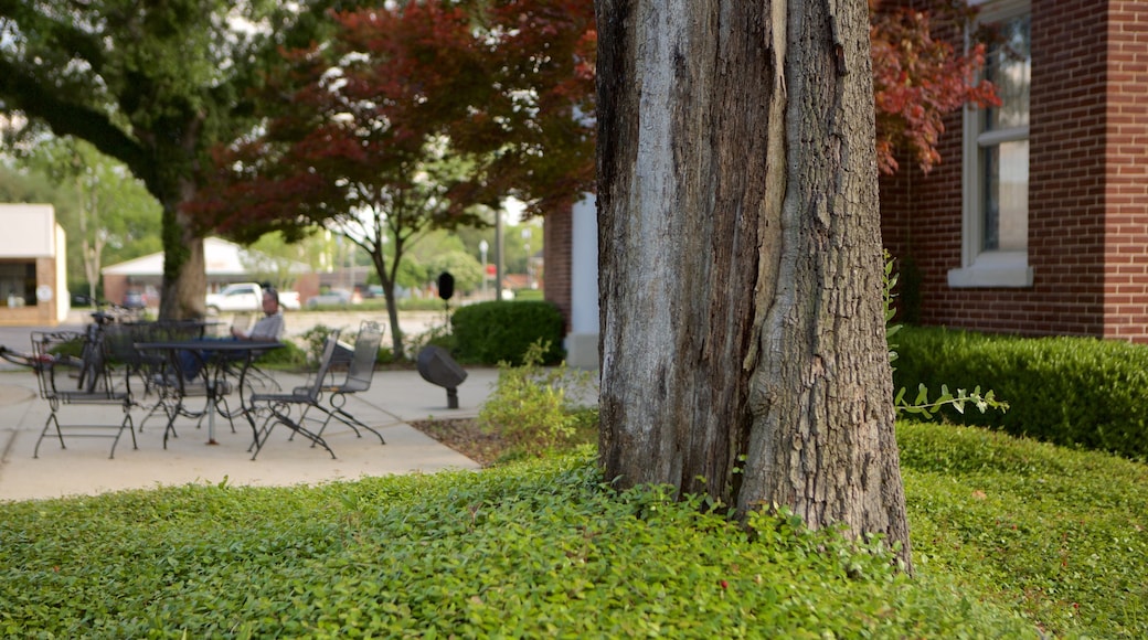 Bay Minette showing a park