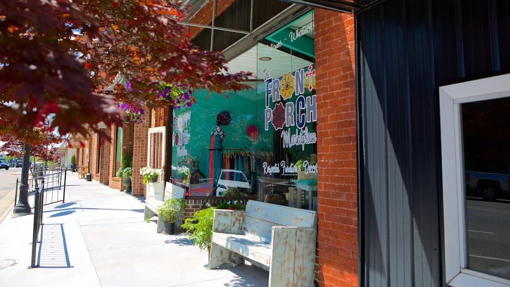 Albertville showing shopping and a small town or village