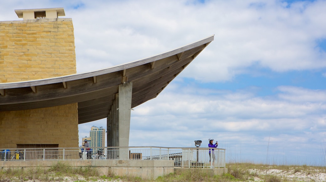 Gulf State Park showing views and modern architecture