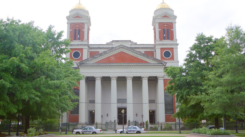 Cathedral of the Immaculate Conception showing a church or cathedral