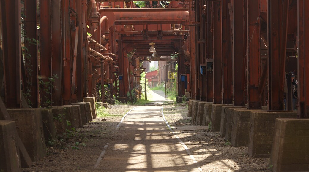 Sloss Furnaces showing industrial elements