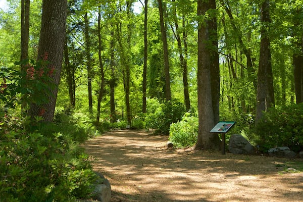 Huntsville Botanical Garden som visar en park och skogslandskap