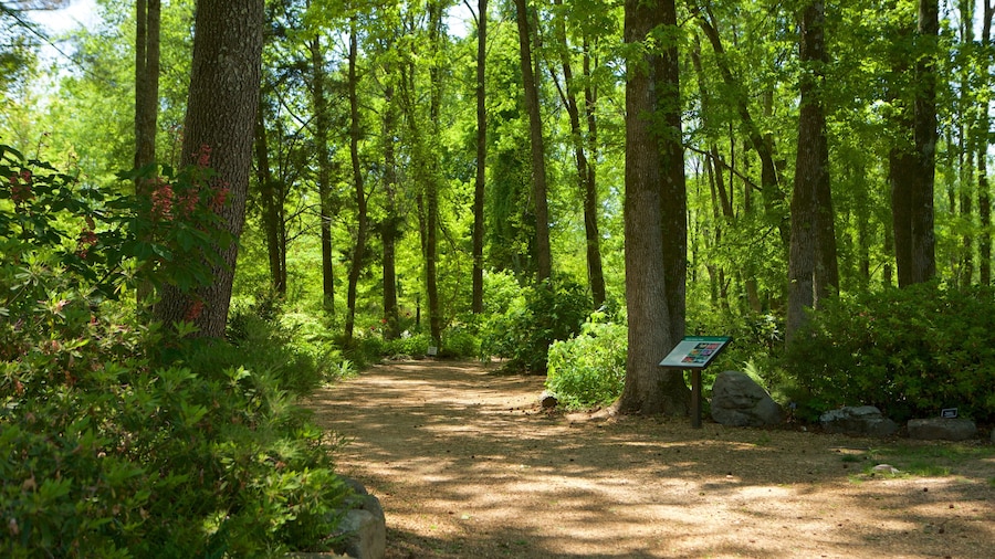 Huntsville Botanical Garden ofreciendo un jardín y bosques