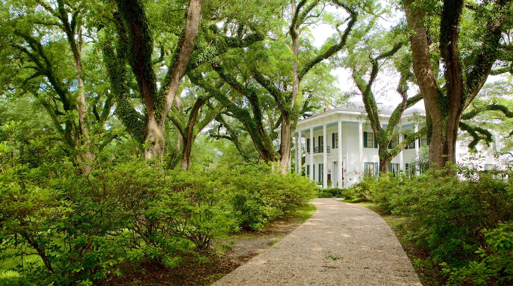 Bragg-Mitchell Mansion showing a house and a garden