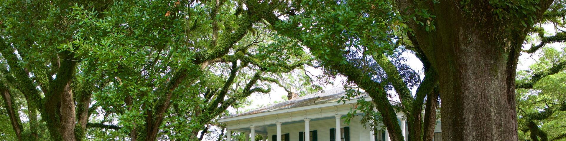 Bragg-Mitchell Mansion which includes a house and a garden