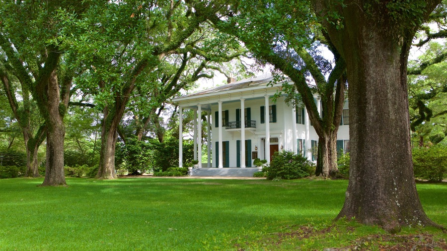 Bragg-Mitchell Mansion que incluye un jardín y una casa