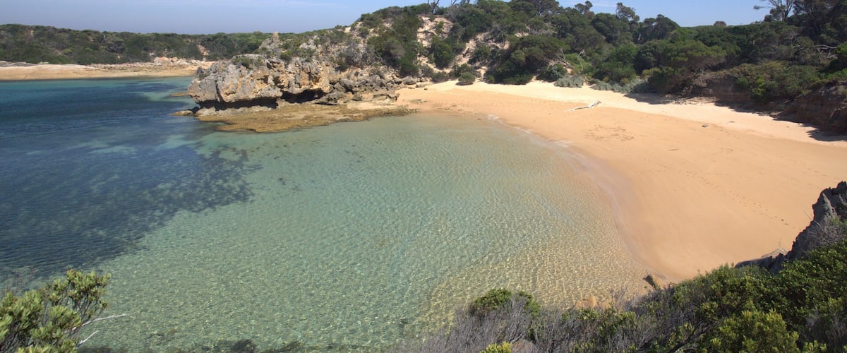 Flinders Island showing a sandy beach and general coastal views