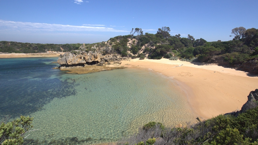 Flinders caratteristiche di vista della costa e spiaggia sabbiosa