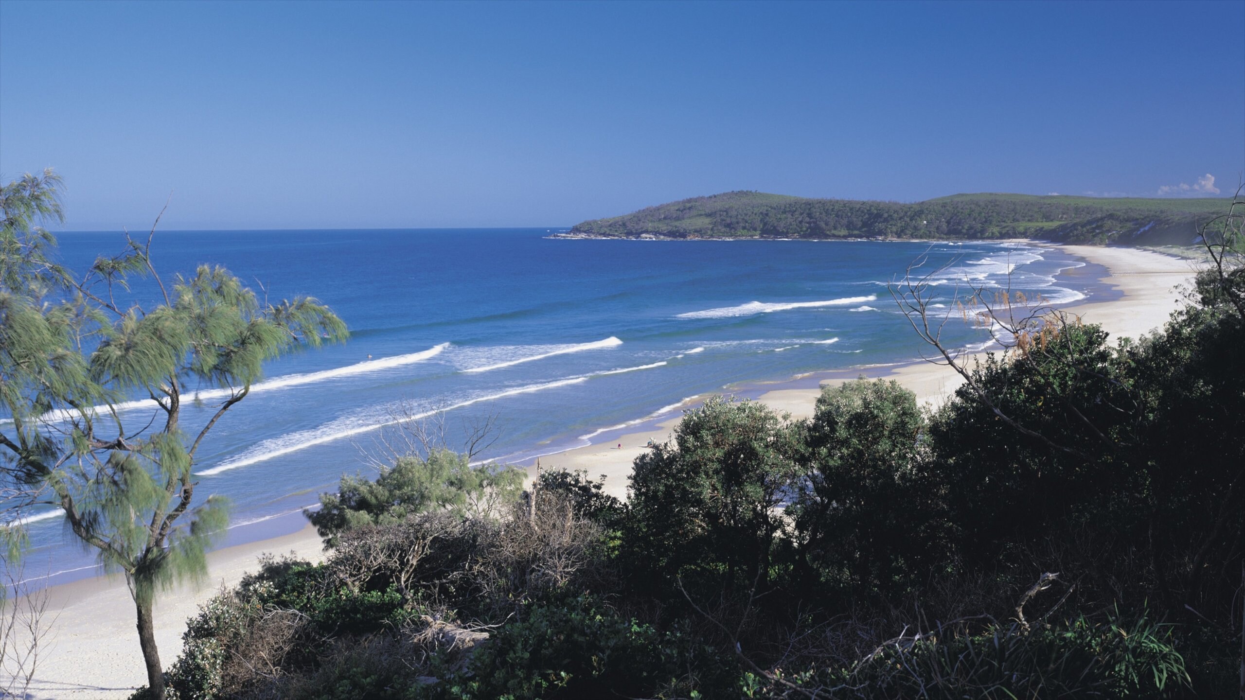 Travel Yamba Best Of Yamba Visit New South Wales Expedia Tourism