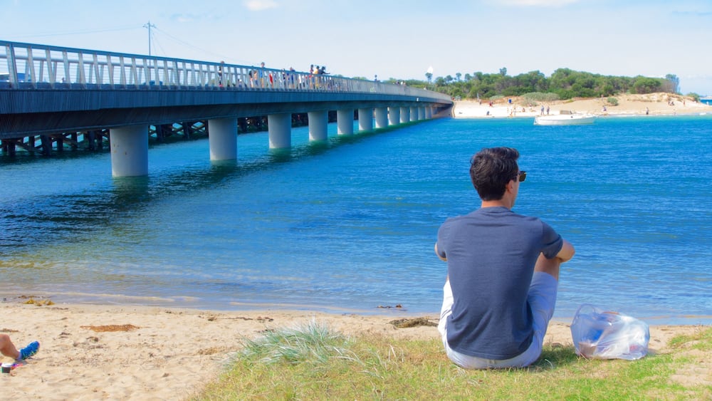 Geelong - Bellarine Peninsula showing general coastal views and a bridge as well as an individual male