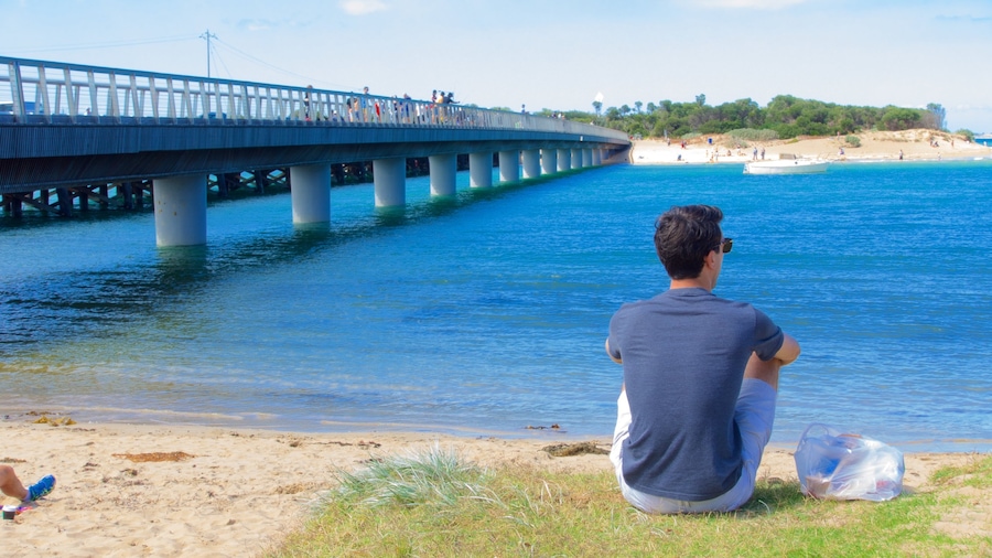 Thành phố Geelong - Bán đảo Bellarine cho thấy cảnh bờ biển và cầu cũng như đàn ông