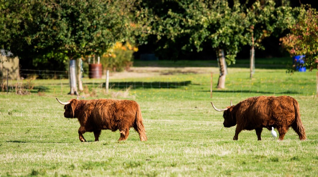 Photo provided by Tourism Tasmania & Rob Burnett