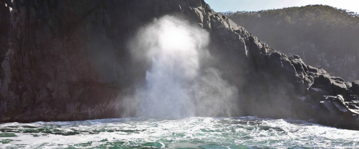 Bruny Island which includes rugged coastline