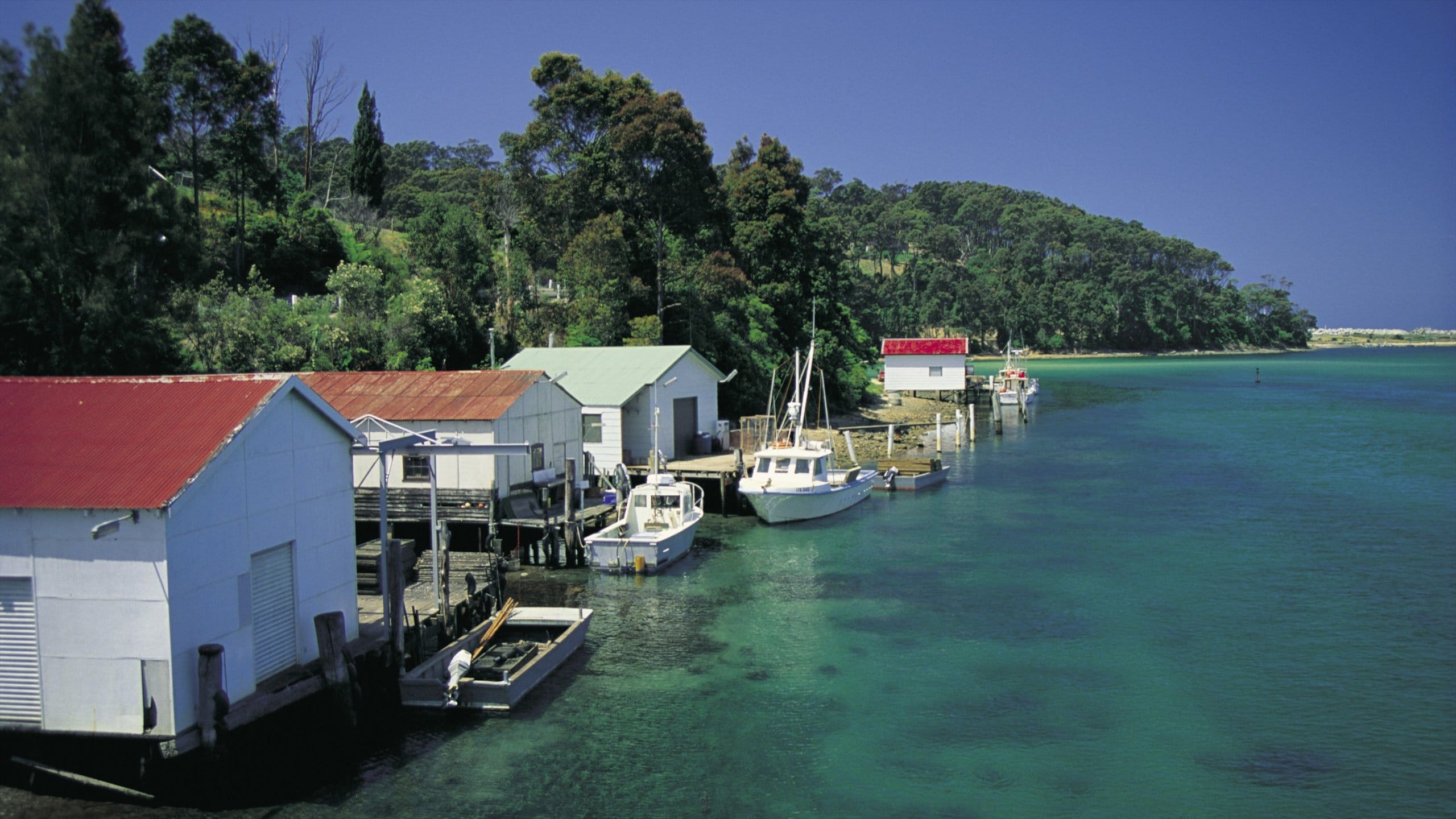 Caravan Parks in Narooma Find The Best Caravan Parks in Narooma Expedia