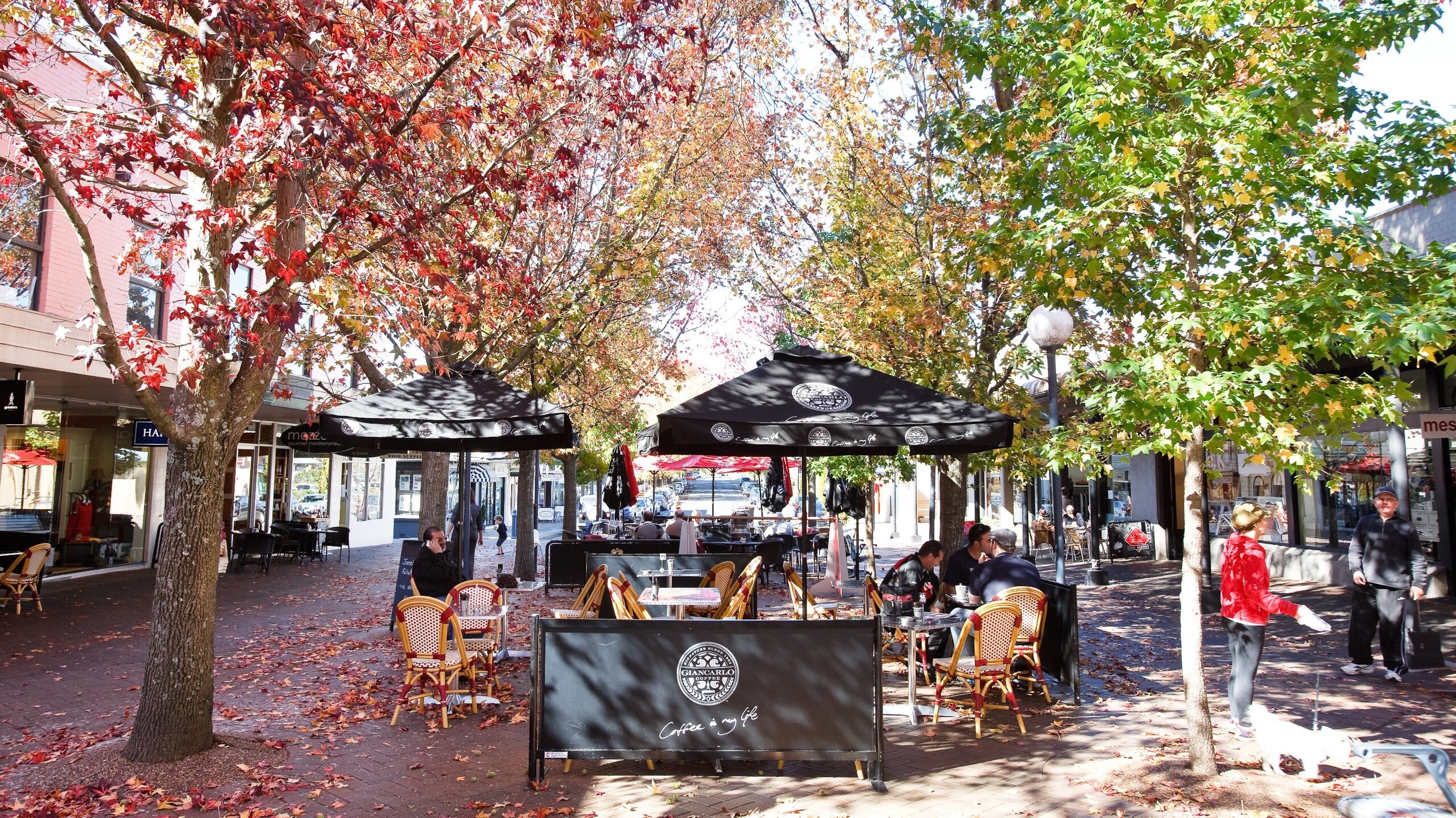 Visit Moss Vale 2024 Moss Vale, Bowral Travel Guide Expedia