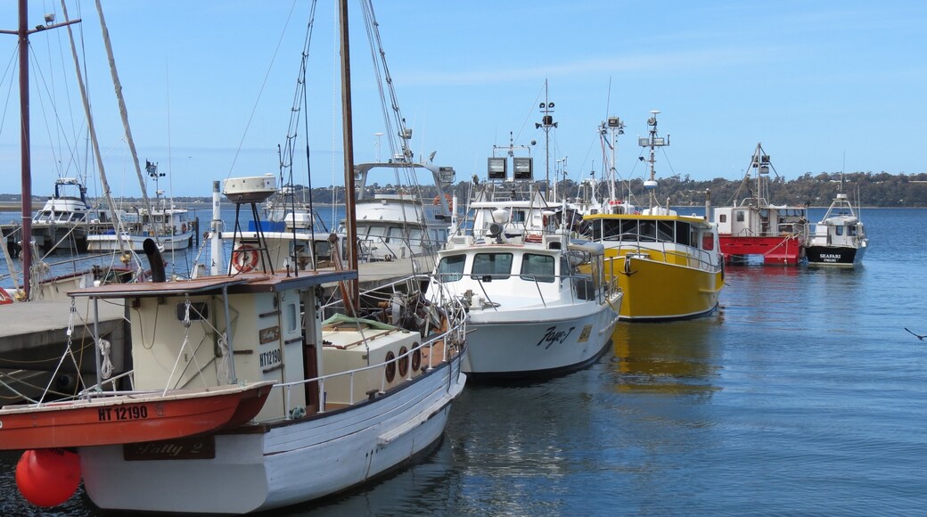 Photo provided by Tourism Tasmania