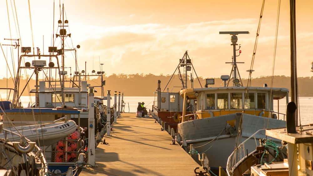 St Helens mettant en vedette baie ou port, coucher de soleil et navigation