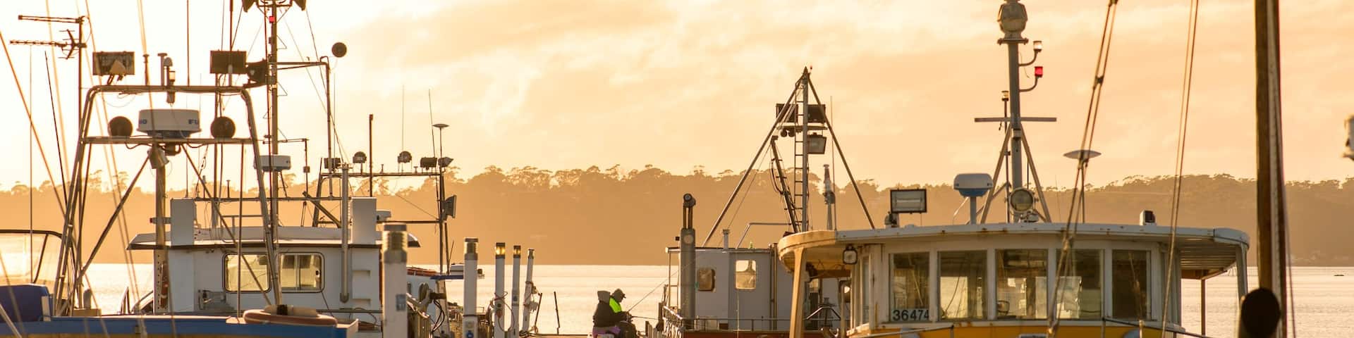 St Helens showing a bay or harbour, boating and a sunset