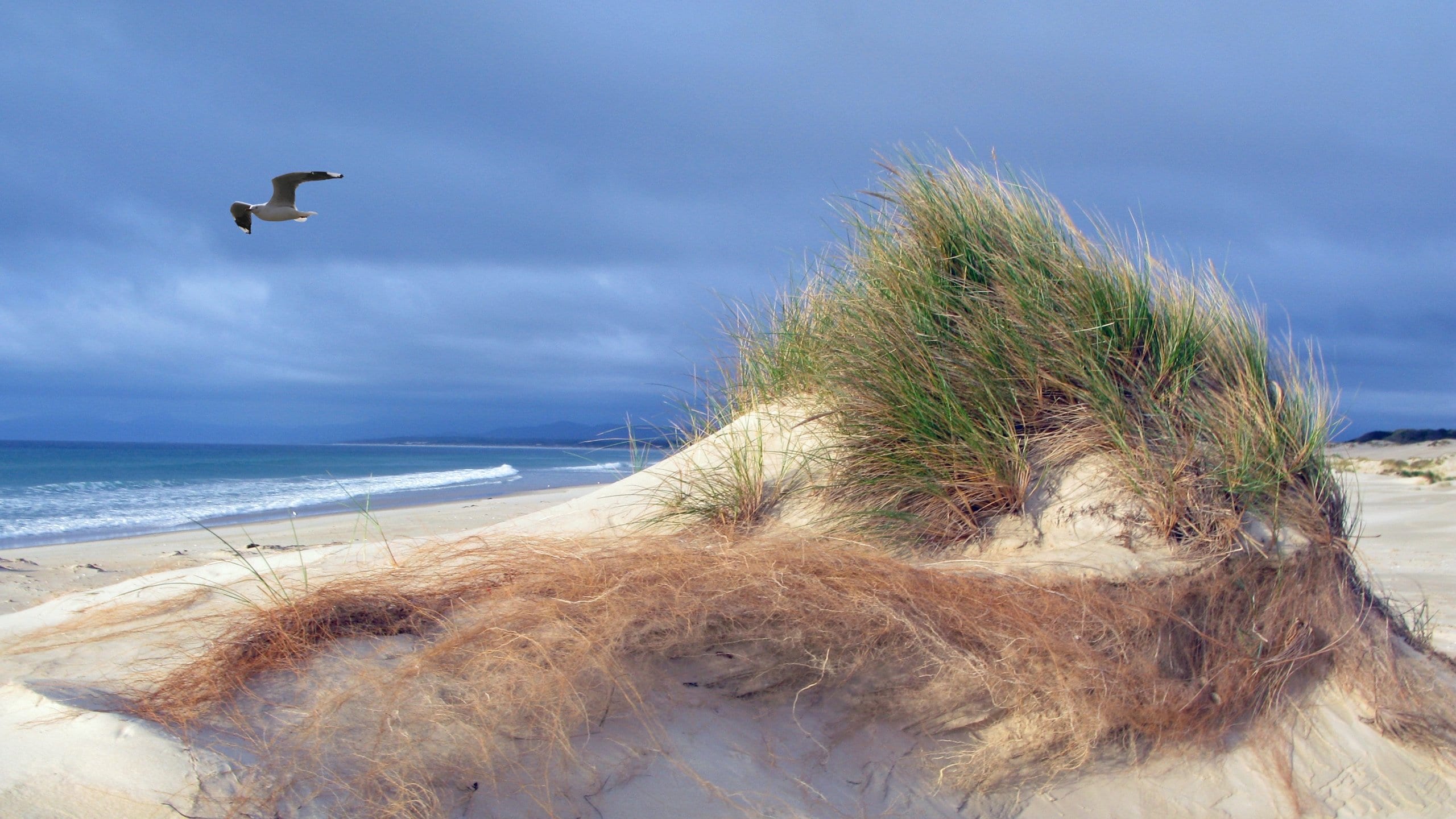 St Helens featuring a sandy beach and general coastal views