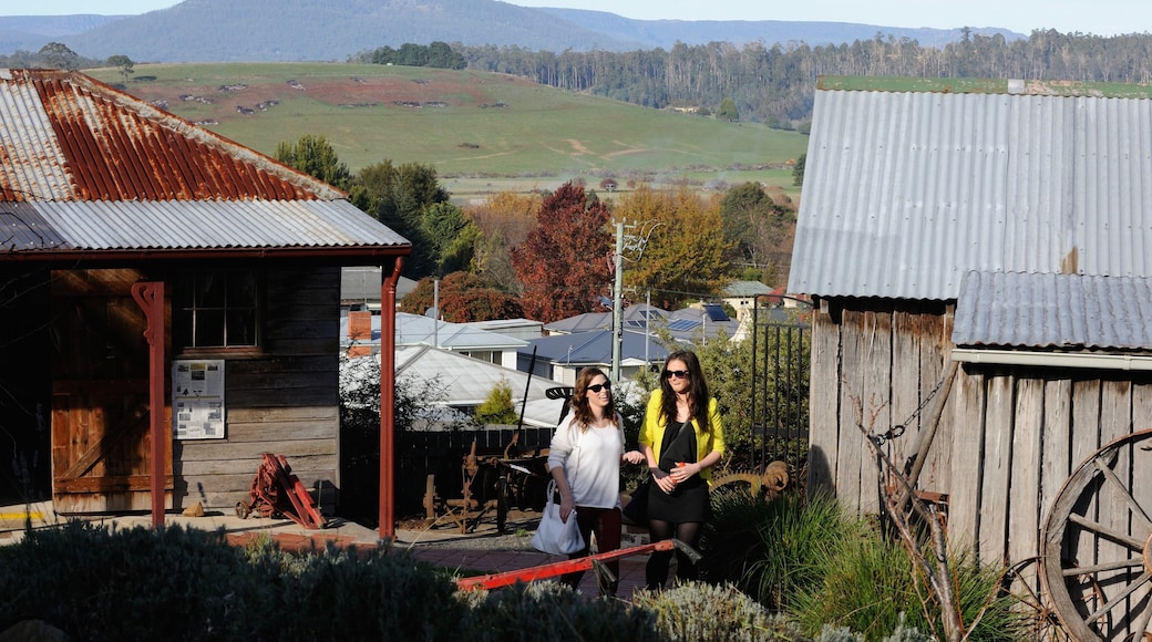 Photo fournie par Tourism Tasmania & Chris Crerar