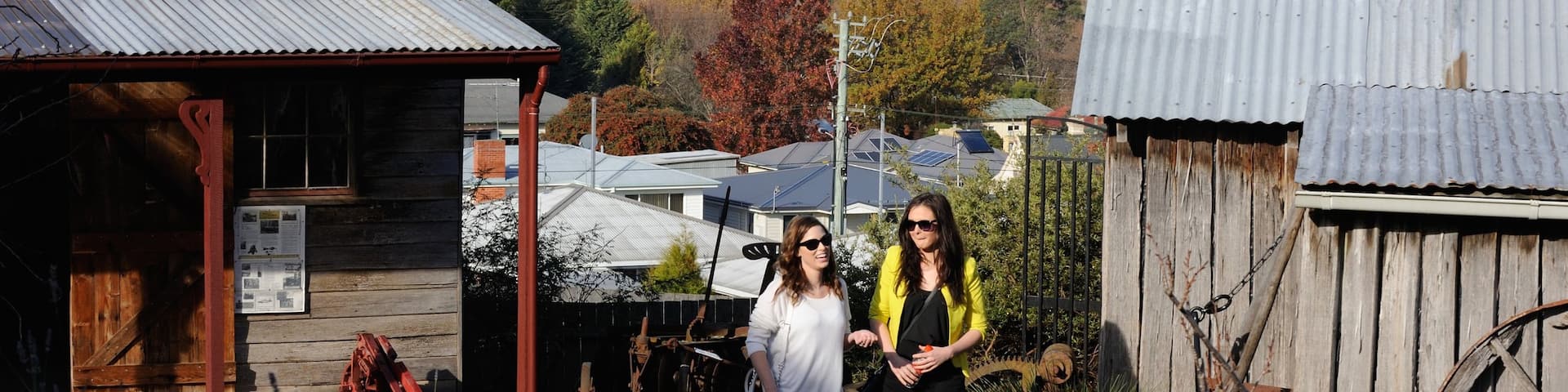 Deloraine featuring tranquil scenes and a house as well as a small group of people